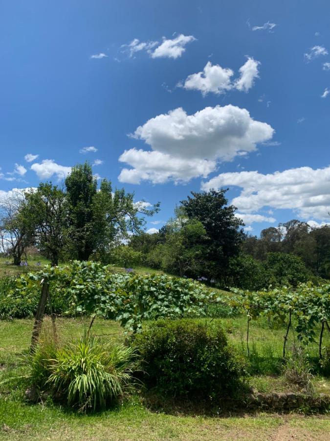 Sitio Vale Dos Vinhedos Villa Bento Gonçalves Buitenkant foto