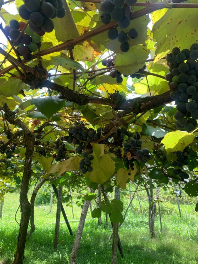 Sitio Vale Dos Vinhedos Villa Bento Gonçalves Buitenkant foto